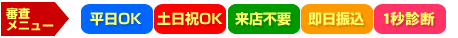 審査メニュー11